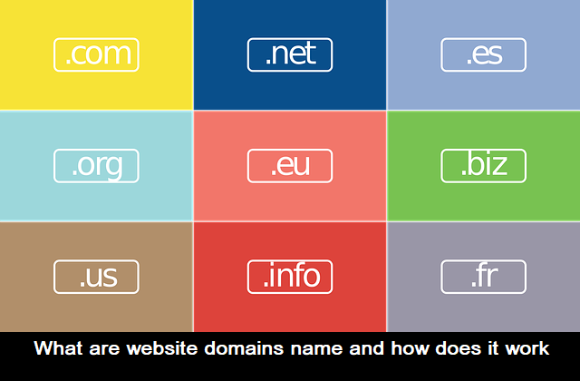 What are website domains name and how does it work
