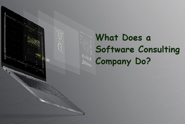 Software Consulting