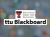 TTU Blackboard