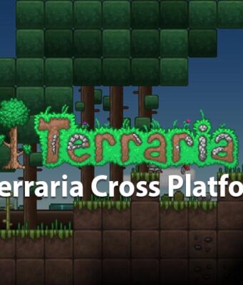 Is Terraria Cross Platform? (Explained)