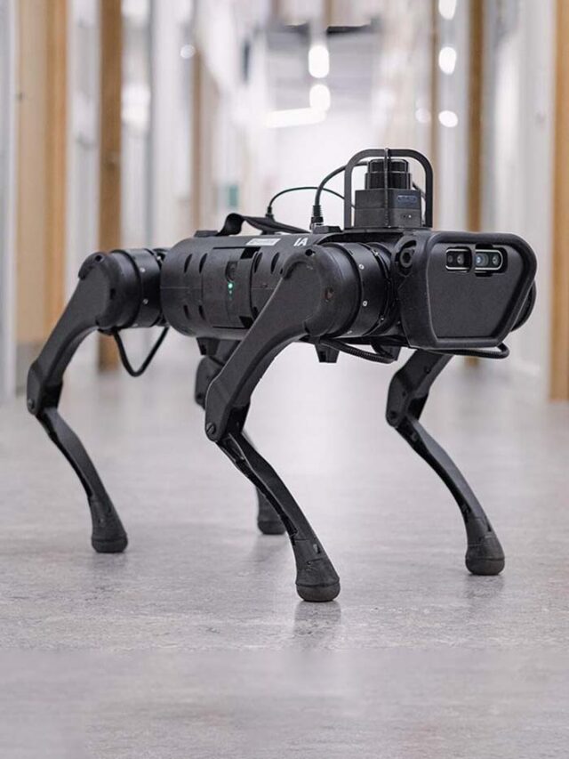 Meet the RoboDog: A new companion for the visually impaired
