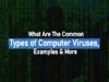 What Are The Common Types of Computer Viruses, Examples & More