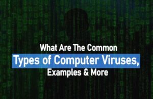 What Are The Common Types of Computer Viruses, Examples & More