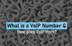 What is a VoIP Number & How does VoIP work?