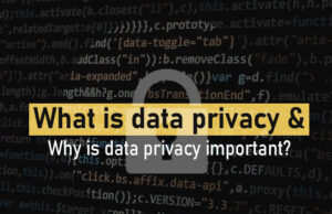 What is data privacy and Why is data privacy important?